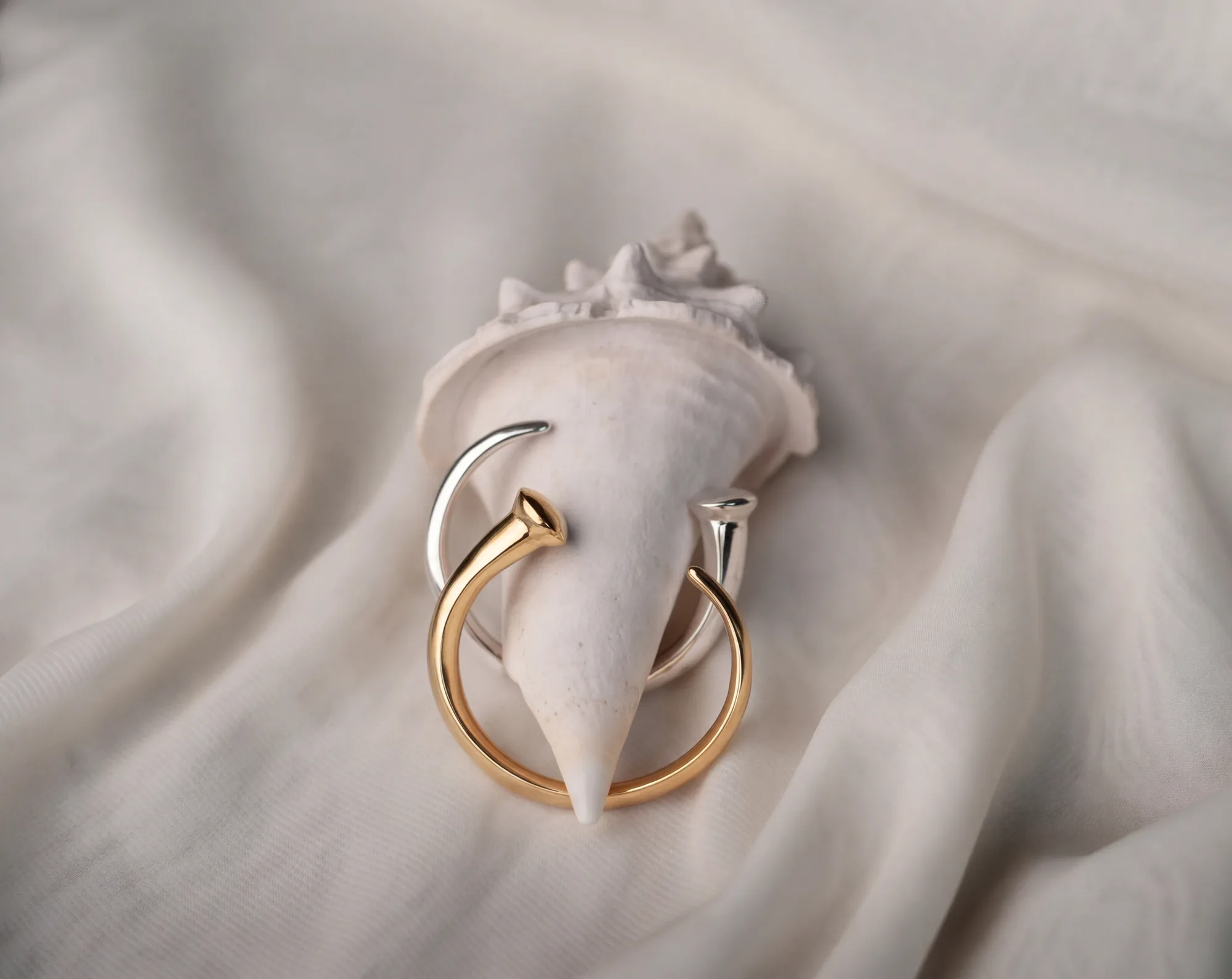 Two open rings, one gold and one silver, wrapped around a white conch shell on draped cream fabric